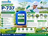P 737 Khử Bọt Trong Sản Xuất Thuốc Trừ Sâu – Giải Pháp Kiểm Soát Bọt Ngành BVTV